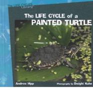The Life Cycle of a Painted Turtle