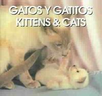 Gatos Y Gatitos/kittens & Cats