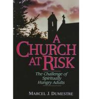 A Church at Risk