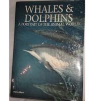 Whales and Dolphins