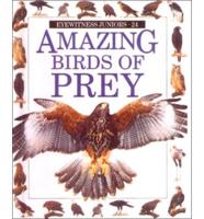 Amazing Birds of Prey