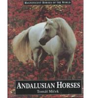 Andalusian Horses