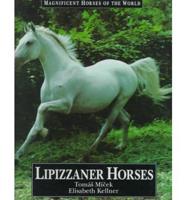 Lipizzaner Horses