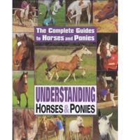 Understanding Horses & Ponies