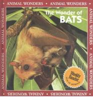The Wonder of Bats