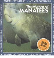The Wonder of Manatees