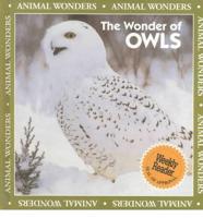 The Wonder of Owls