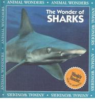 The Wonder of Sharks