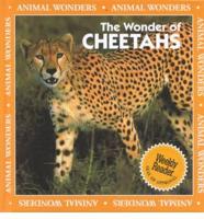 The Wonder of Cheetahs