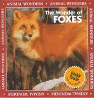 The Wonder of Foxes