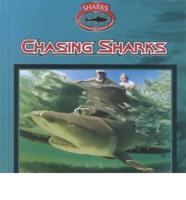 Chasing Sharks