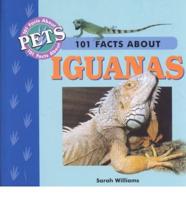 101 Facts About Iguanas