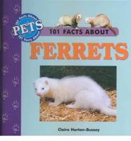 101 Facts About Ferrets