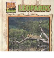 Leopards