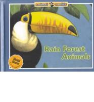 Rain Forest Animals