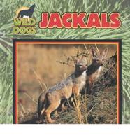 Jackals