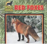 Red Foxes