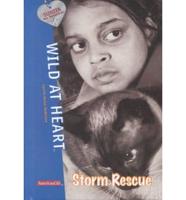 Storm Rescue