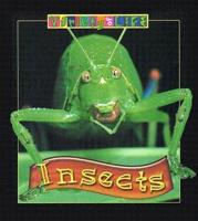 Insects