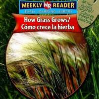 How Grass Grows / Cómo Crece La Hierba