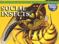 Social Insects