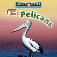 Pelicans