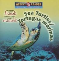 Sea Turtles / Tortugas Marinas