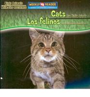 Cats Are Night Animals / Los Felinos Son Animales Nocturnos