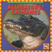 Alligators / Caimanes