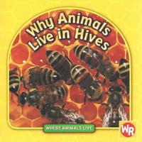 Why Animals Live in Hives