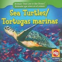 Sea Turtles / Tortugas Marinas
