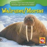 Walruses / Morsas