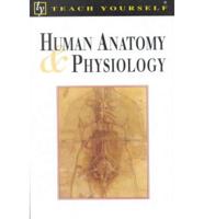 Human Anatomy and Physiology