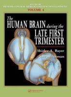 The Human Brain During the Late First Trimester