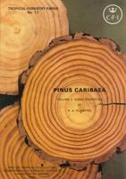 Pinus Caribaea