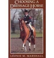 Choosing a Dressage Horse