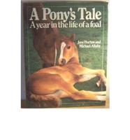 Pony's Tale