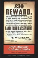 Irish Migrants in Modern Wales