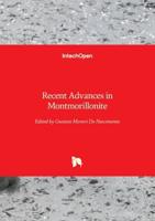 Recent Advances in Montmorillonite