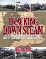 Tracking Down Steam