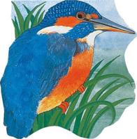 Pocket Kingfisher