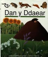 Dan Y Ddaear