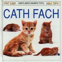 Cath Fach