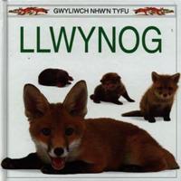 Llwynog