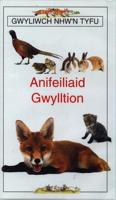 Cyfres Gwyliwch Nhw'n Tyfu: Anifeiliaid Gwylltion