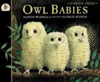 Owl Babies