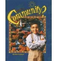 What Is a Community?