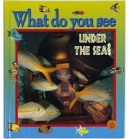 What Do You See Under the Sea?