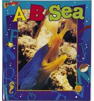 A-- B-- Sea