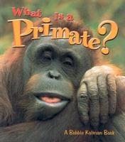 What Is a Primate?